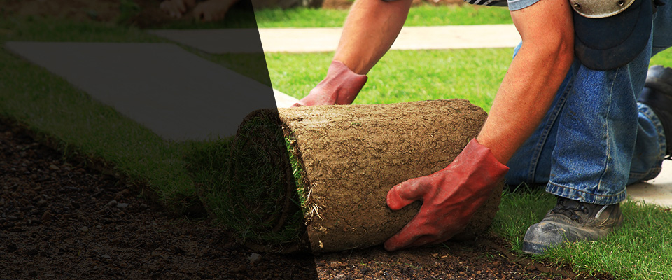 Trempealeau Landscapers